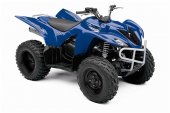 2009 Yamaha Wolverine 450 Auto 4x4 photo